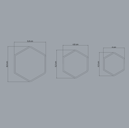 Moldes para Asas - 11